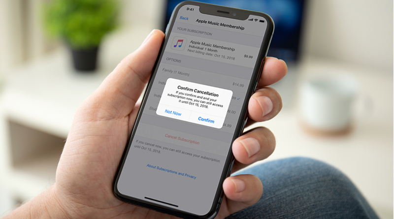How To Cancel An App Subscription On iPhone - Tweaklibrary