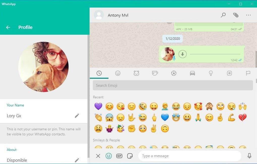 WhatsApp messenger - Messaging App for Windows