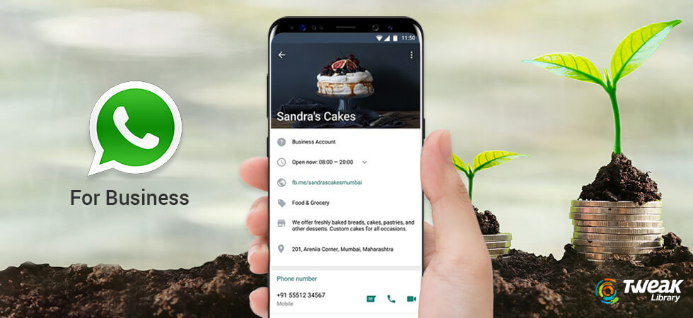 whats-app-for-business