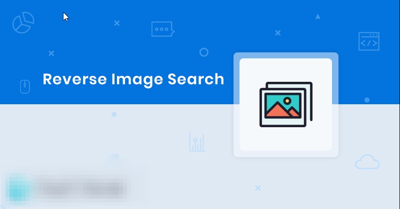 Reverse Image Search