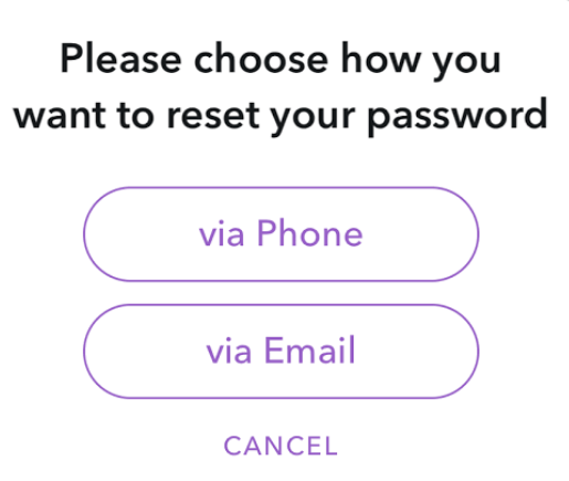 Choose option to reset snapchat password