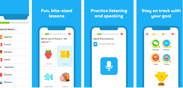 Duolingo