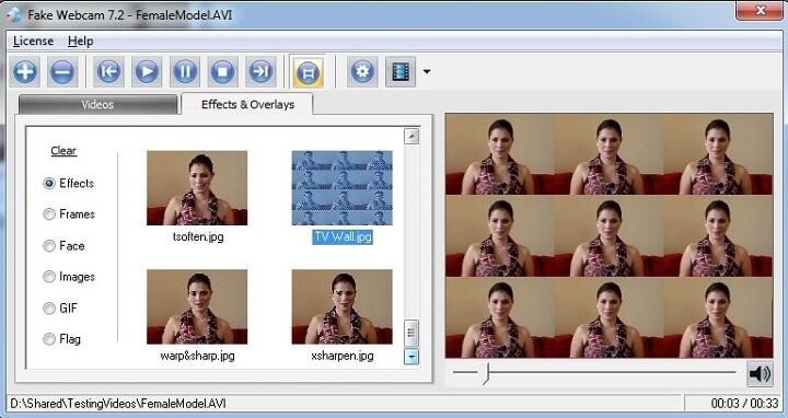 Fake Webcam software