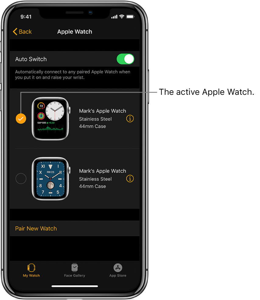 connect Apple Watch from the Apple Watch app