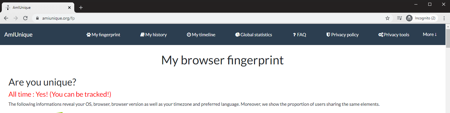What is Browser Fingerprinting