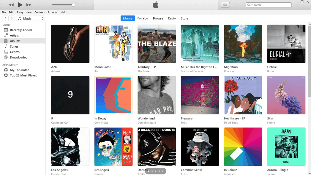 Open iTunes Folder