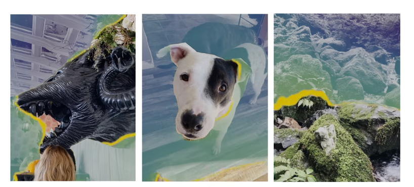 Use 3D Photo Feature