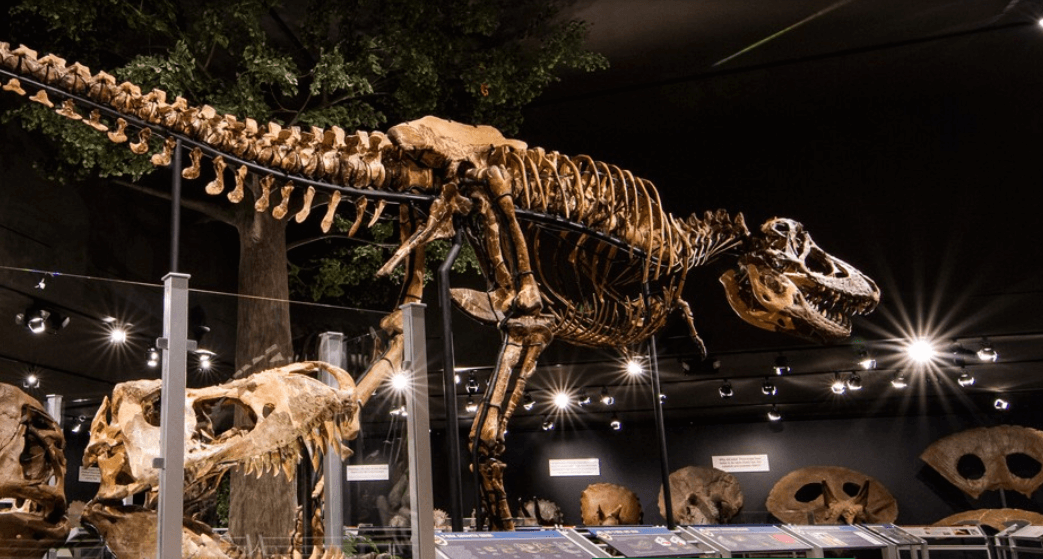 interactive museum