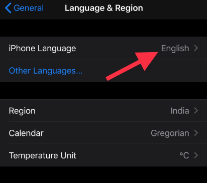 Choose the iPhone Language