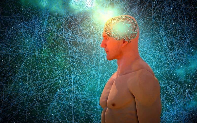 DigitalGenius