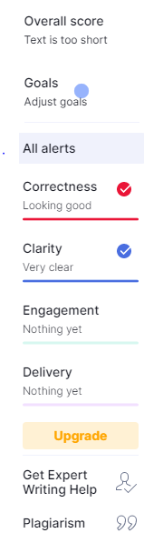 grammer check