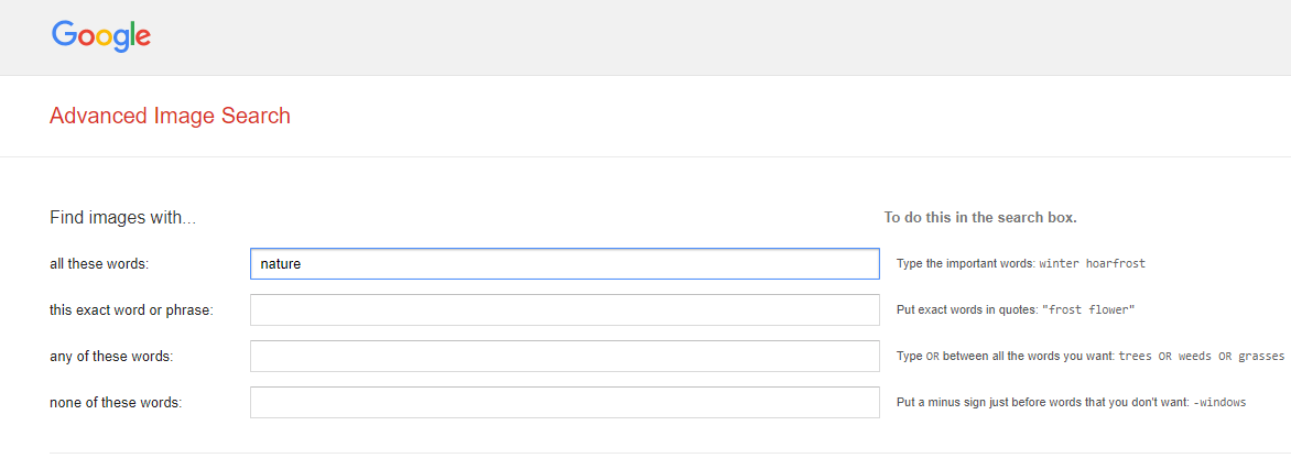 Advanced Image Search