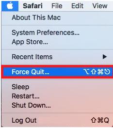 Force Quit Safari Browser