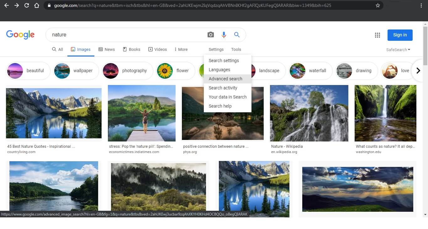 How to use advanced image search