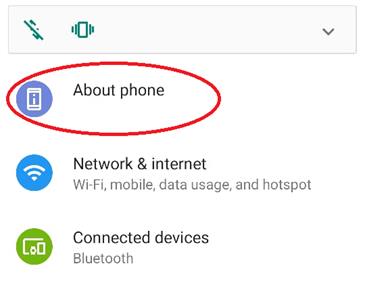 developer mode on android