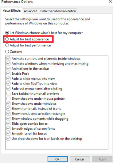 Adjust for best appearance - Performance Options