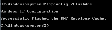 Command Prompt for the DNS Resolver Cache