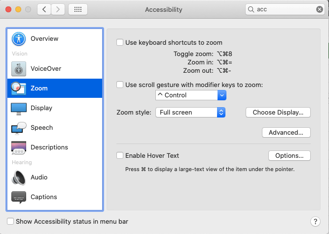 Zoom Accessibility