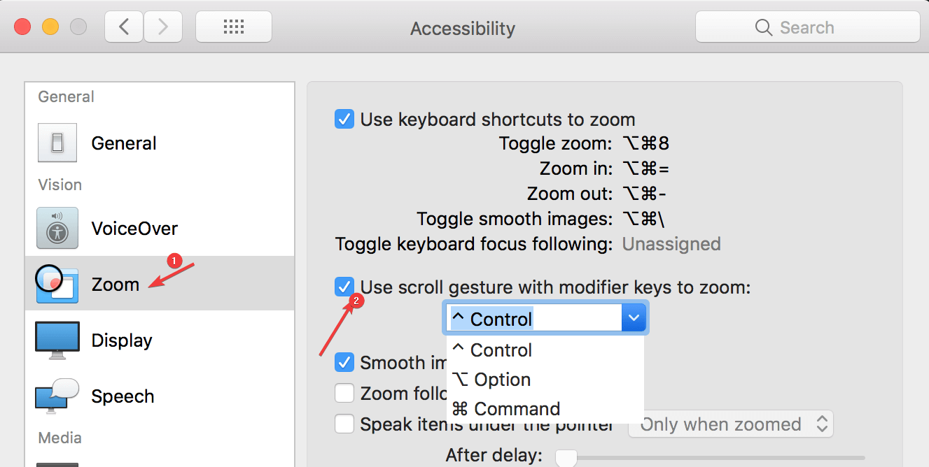 checkbox with Use scroll gesture with modifier keys to zoom