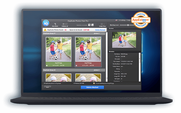 Duplicate Files Fixer Pro