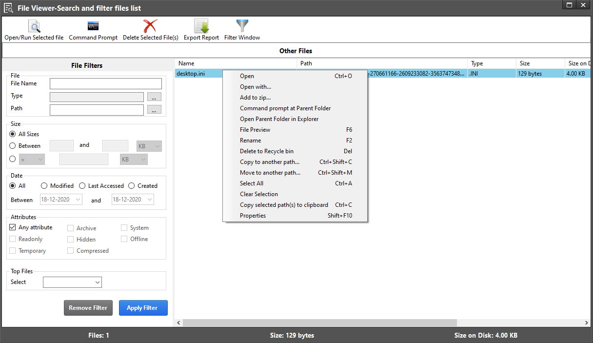 Disk Analyzer Pro- File Viewer