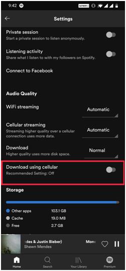 Downloading Songs From Spotify