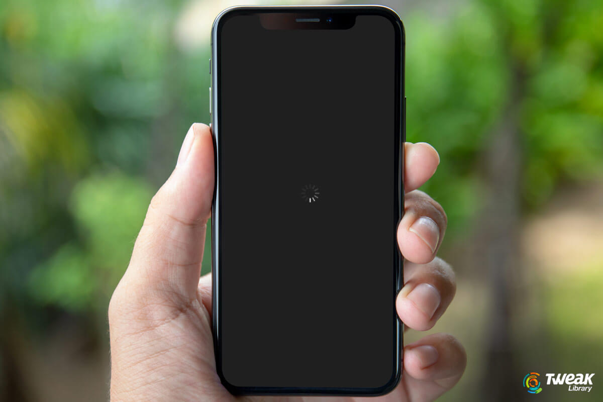 What To Do If the iPhone Screen Went Black?