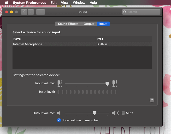 Misconfigured Sound Input