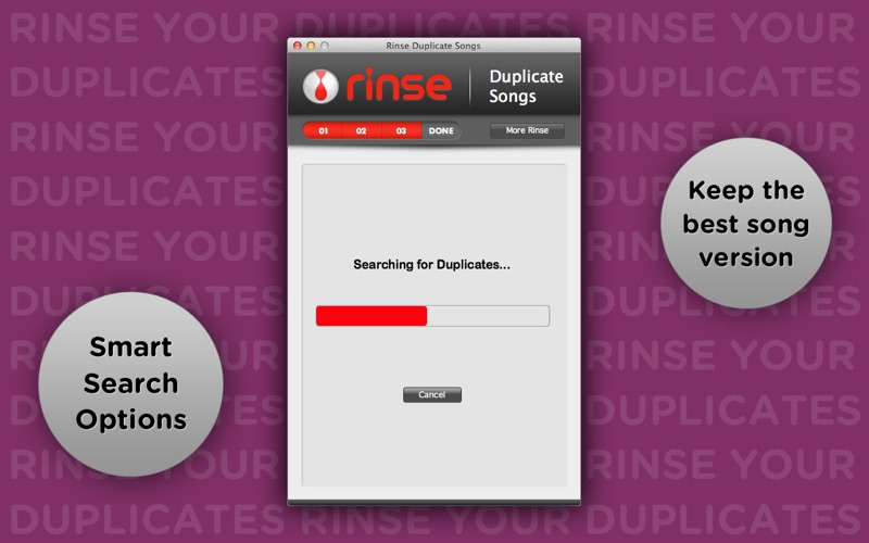 Rinse Duplicate Songs