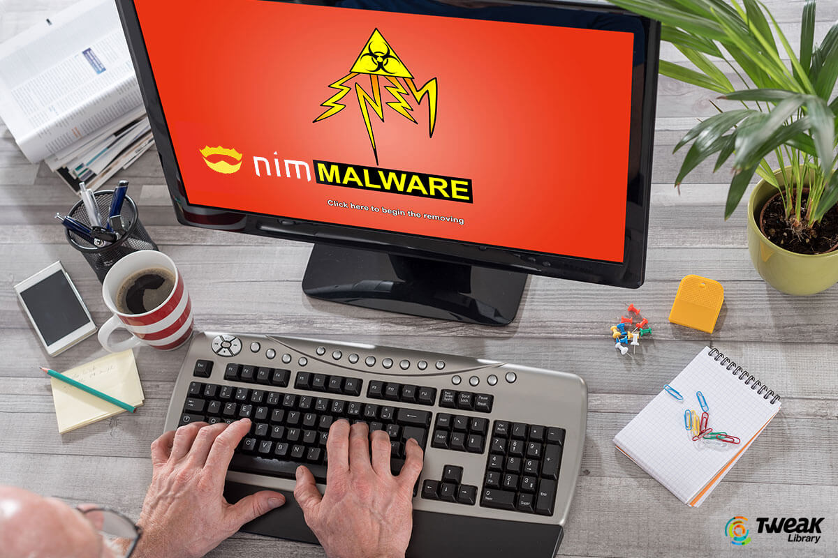 NimzaLoader Malware – How Strong Is Your Guard Against This Cyber-Attack