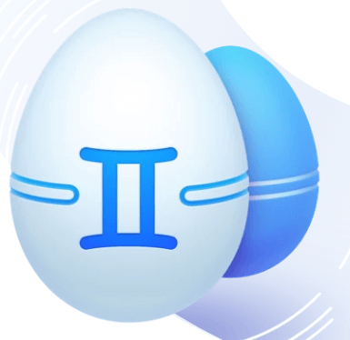 Gemini