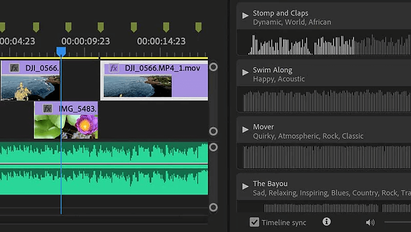 Adobe Premier Pro - GoPro Editing Software