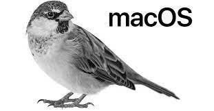 Silver Sparrow