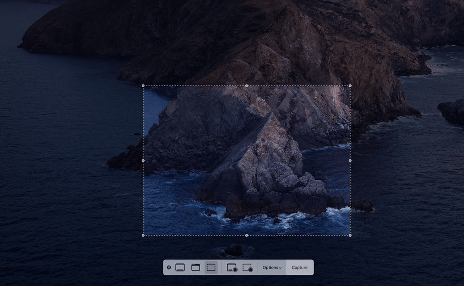 Takes Screenshot of a Selected Area