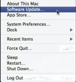 Software update
