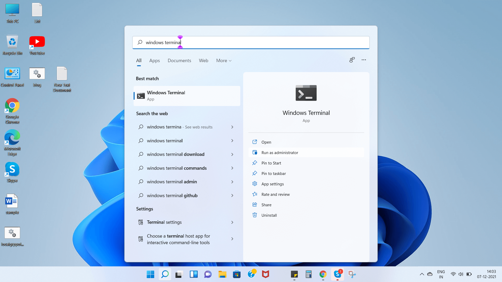 Windows Terminal