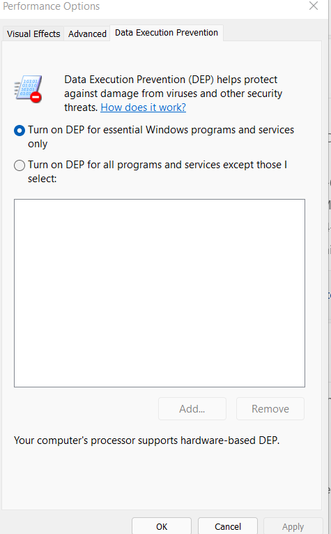 Data Execution Prevention