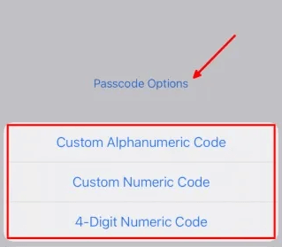 Passcode option