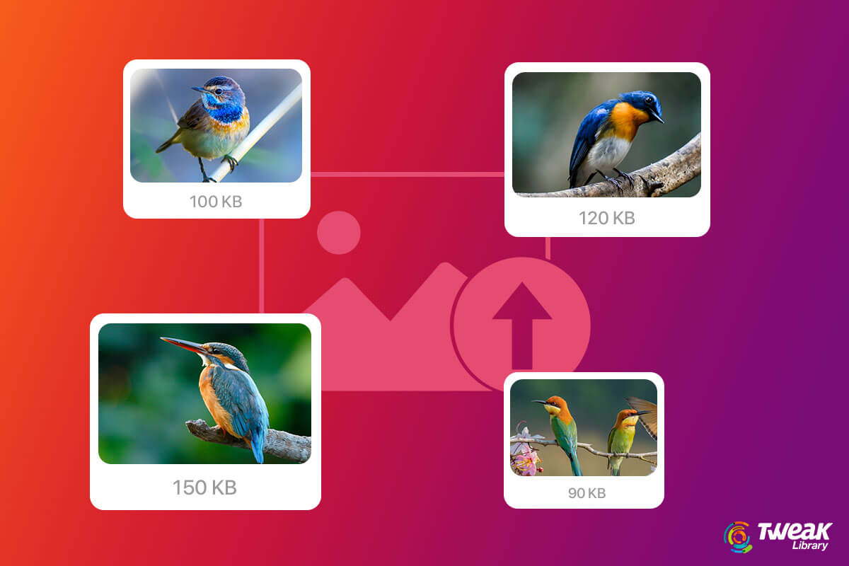 Why-Image-Resizing-is-Important-For-The-Web-(IMage-Resizer)