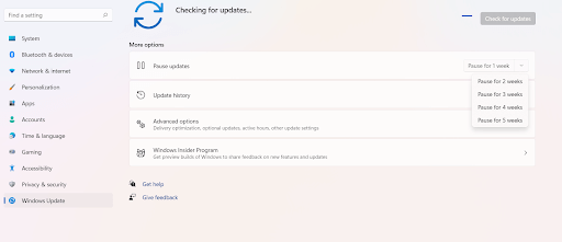 Check update