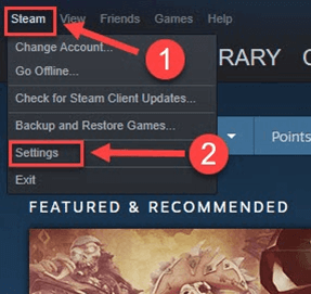 Steam