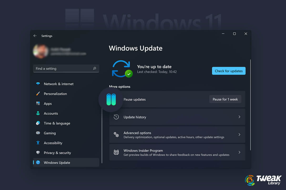 Stop Automatic Updates