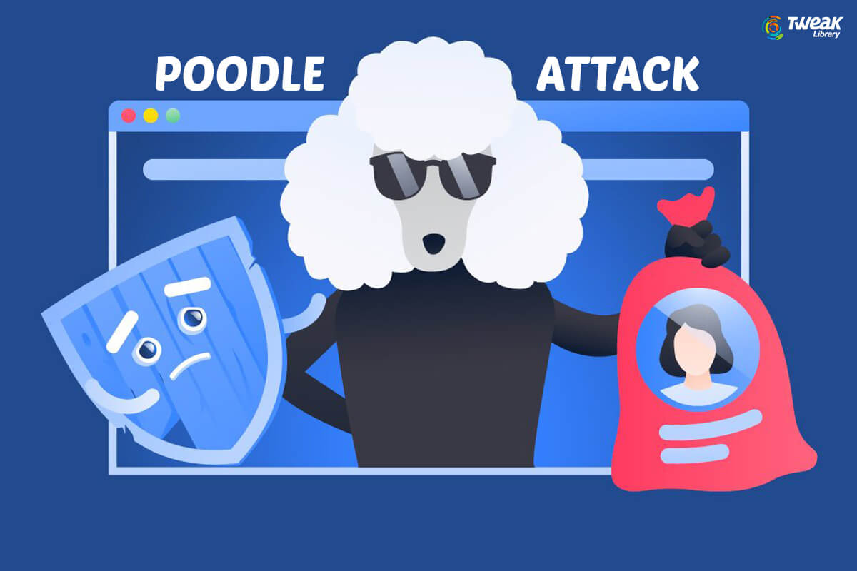 What Is A Poodle Attack