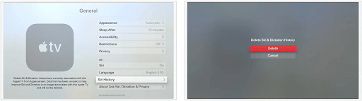 Delete Dictation History