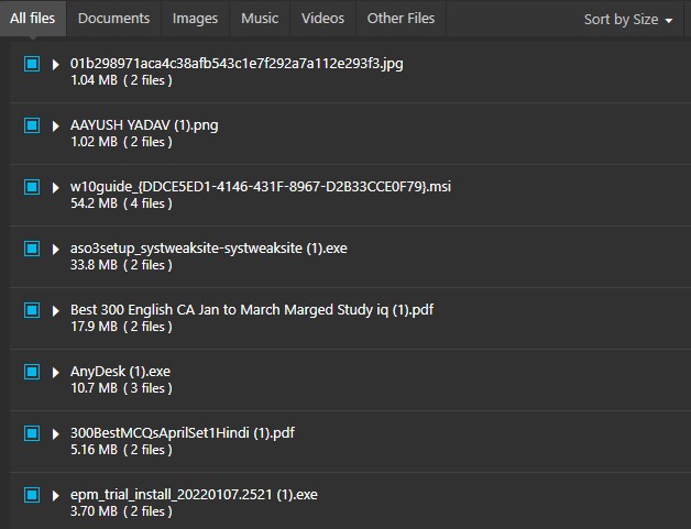 all duplicate file