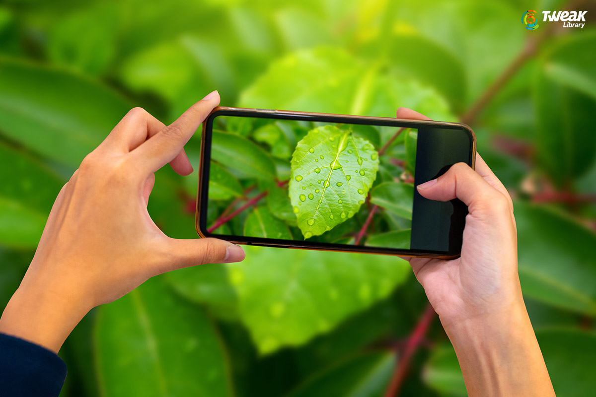 Blur Photo Background