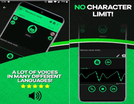 Narrator's Voice