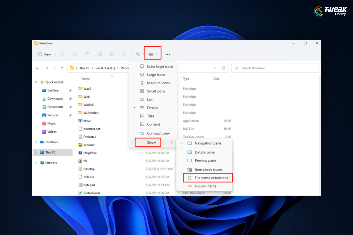 Show File Extensions in Windows 11