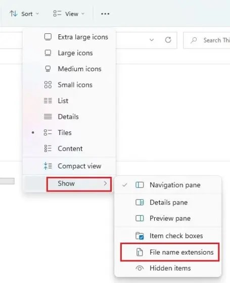 file name extension