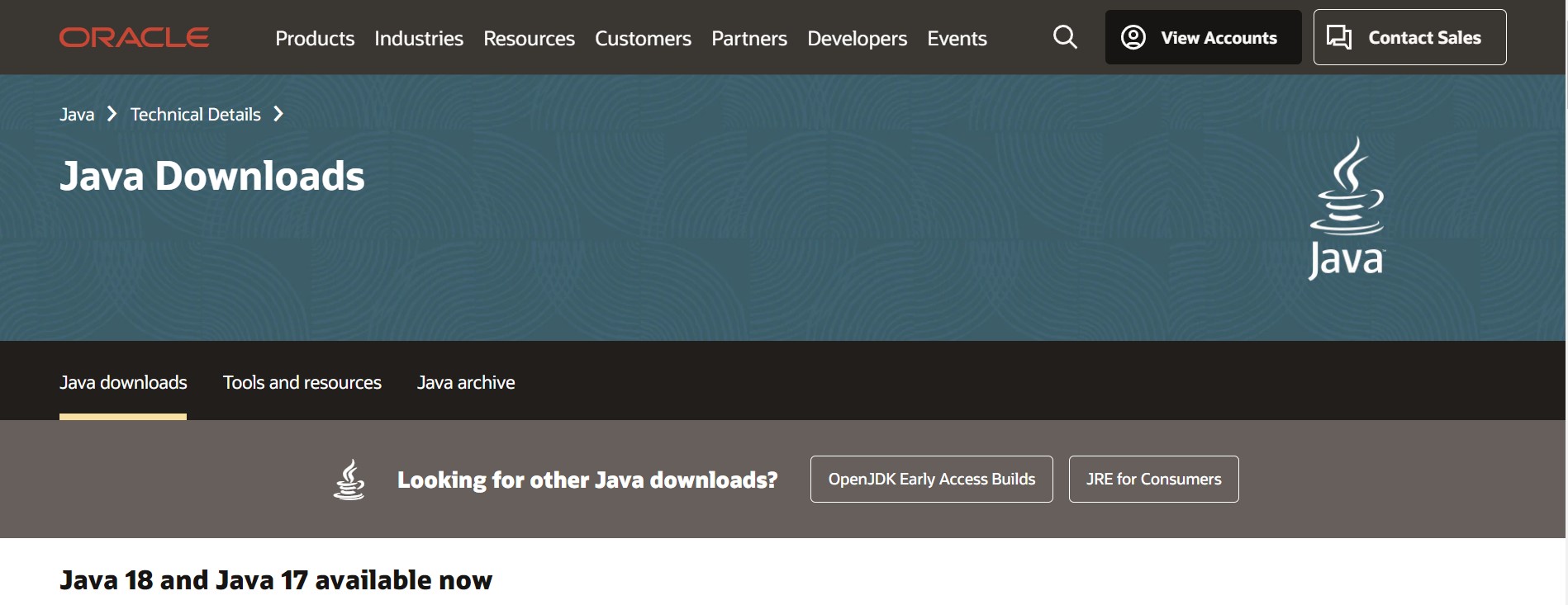 java download